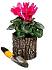 Горшок-цветочница вертикальная Дуб S (маленькая) 15х15cм—1