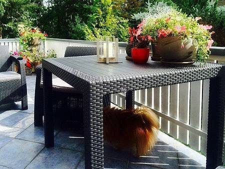 Стол обеденный квадратный TWEET Quatro Table, коричневый Стол обеденный квадратный TWEET Quatro Table, коричневый